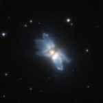 Aquila